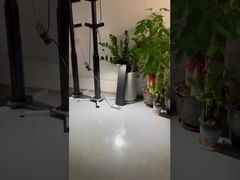 Solar Garden Light---2509