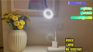 Smart Voice Lamp Offline Control