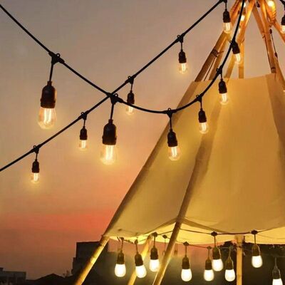 kwaliteit Shatterproof & Waterproof, creatieve gestrekt lichten voor buiten vakantie decoraties fabriek