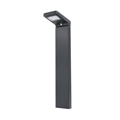 Harga yang bagus IP67 Waterproof Solar Garden Light - Kecerahan Tinggi, Instalasi untuk Villa Garden dan Komunitas on line