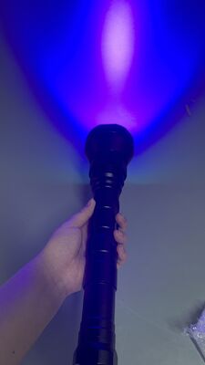 Bon prix Lampes de poche LED UV personnalisées 365nm/395nm/425nm LED UV Lumière LED UV en ligne