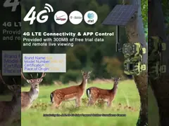 4G Solar Powered Outdoor Surveillance Camera HD Night Vision Intelligent PIR Sensor Mobile Phone Remote Monitoring IP66 Waterproof Designed For Wildlife Tracking